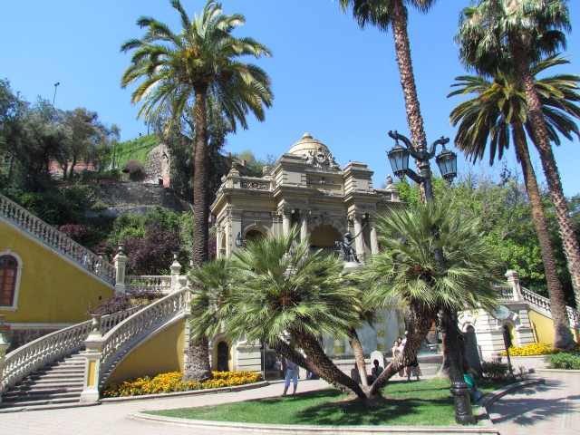 Phoenix canariensis PalmeraAbanicodeCanariaScene.JPG