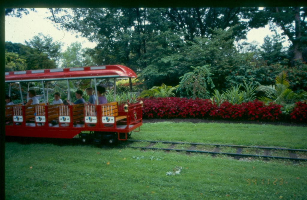 Picture of Solenostemon scutellarioides 'Colorblaze� Kingswood Torch' Colorblaze� Kingswood Torch Coleus