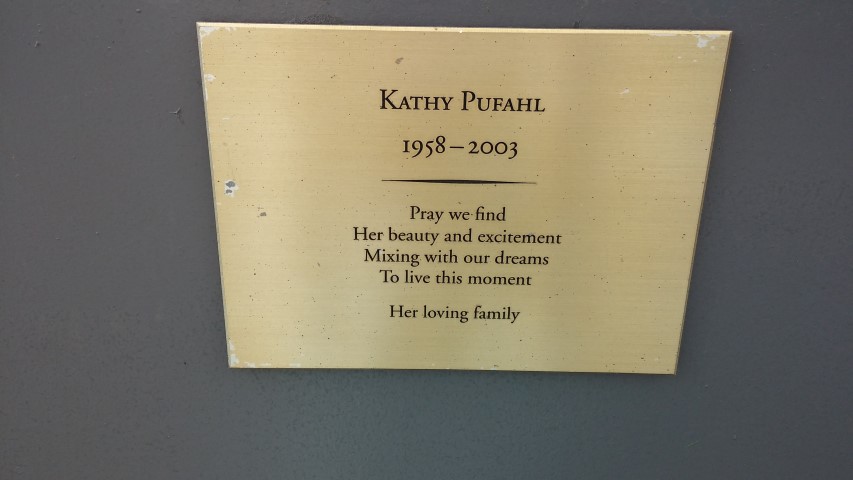 Prunus x yedoensis plantplacesimage20150501_154504.jpg