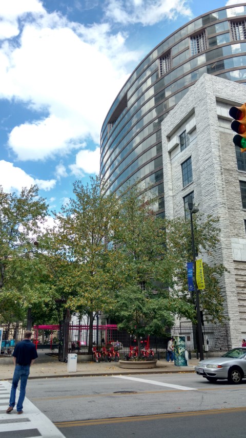 Liquidambar styraciflua plantplacesimage20170913_124219.jpg