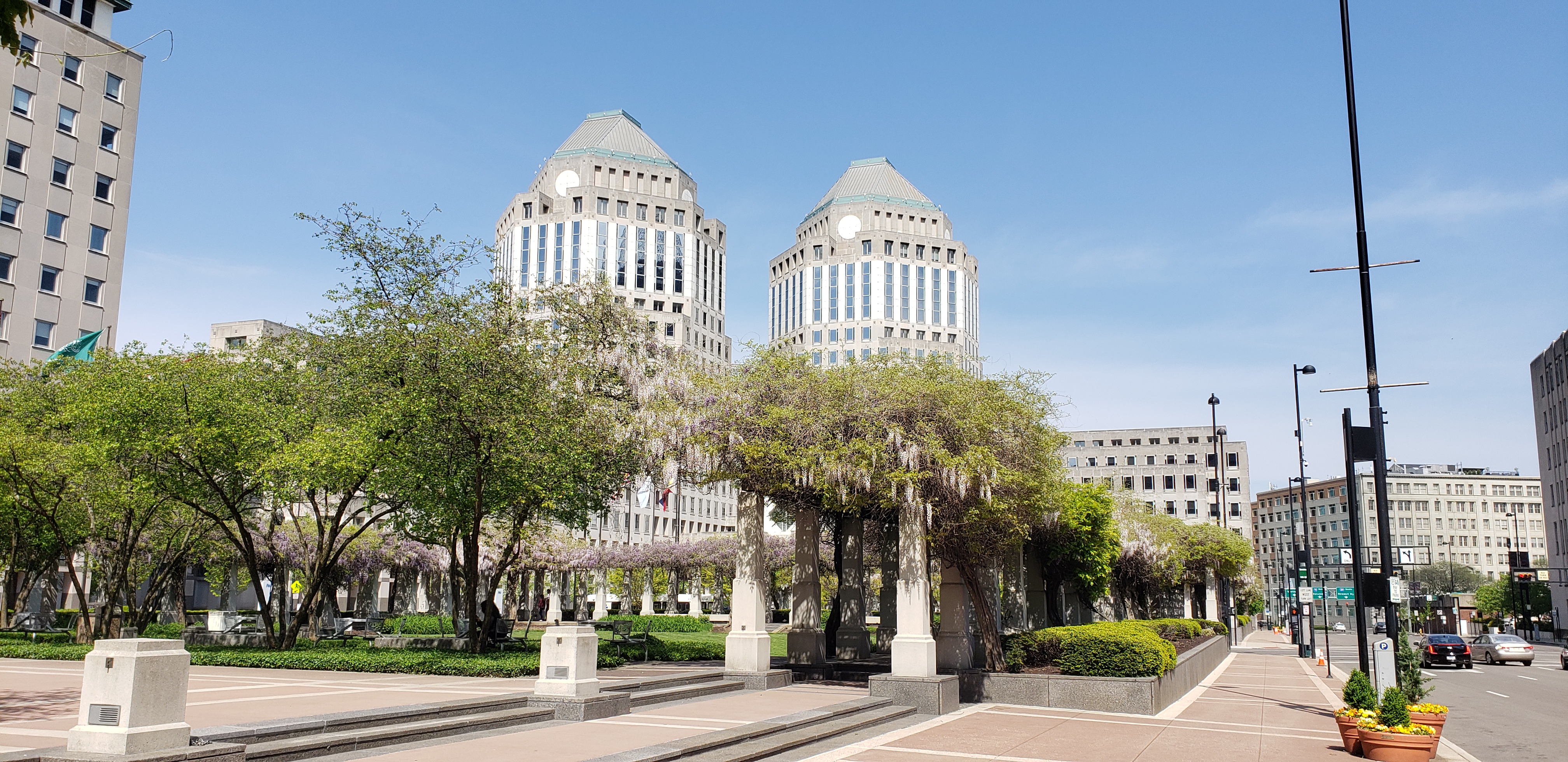 Wisteria floribunda plantplacesimage20220429_155203.jpg